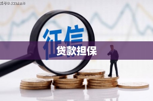 迪庆贷款担保