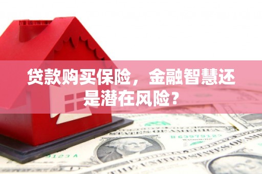 迪庆贷款购买保险，金融智慧还是潜在风险？