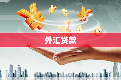 迪庆外汇贷款