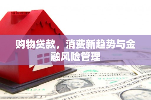 迪庆购物贷款，消费新趋势与金融风险管理