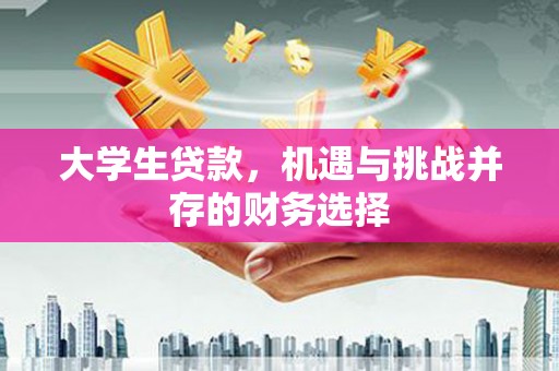 迪庆大学生贷款，机遇与挑战并存的财务选择