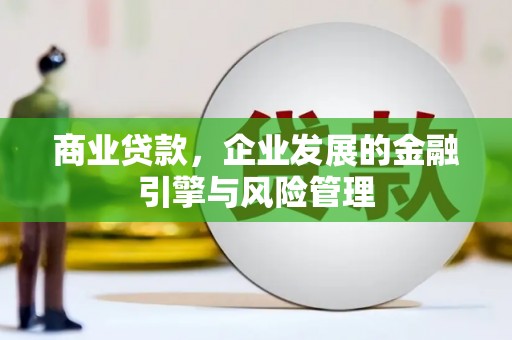 迪庆商业贷款，企业发展的金融引擎与风险管理