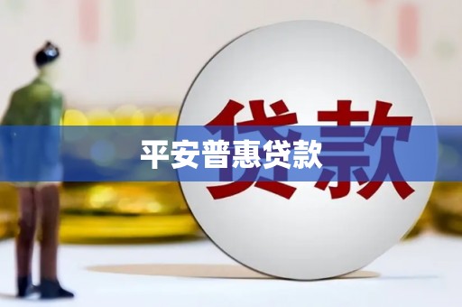 迪庆平安普惠贷款