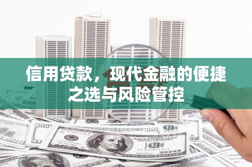 迪庆信用贷款，现代金融的便捷之选与风险管控