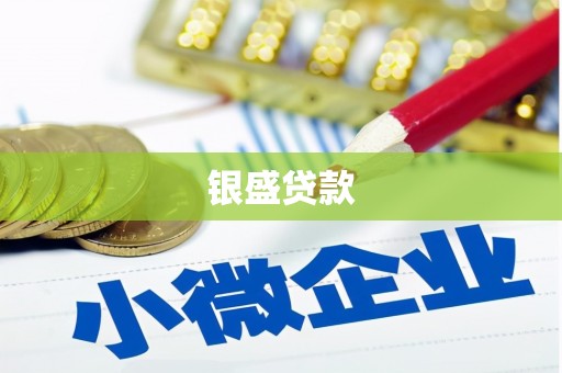 迪庆银盛贷款