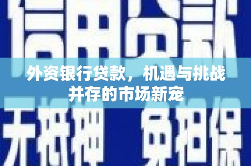 迪庆外资银行贷款，机遇与挑战并存的市场新宠