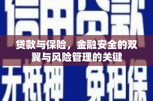 迪庆贷款与保险，金融安全的双翼与风险管理的关键