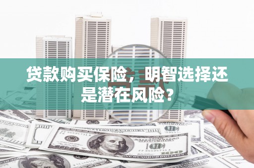迪庆贷款购买保险，明智选择还是潜在风险？