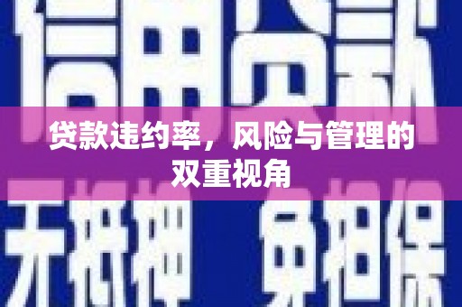 迪庆贷款违约率，风险与管理的双重视角