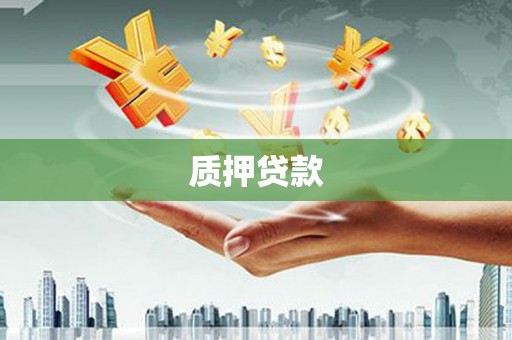 迪庆质押贷款
