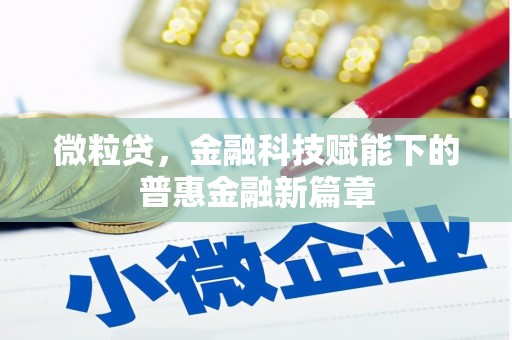 迪庆微粒贷，金融科技赋能下的普惠金融新篇章