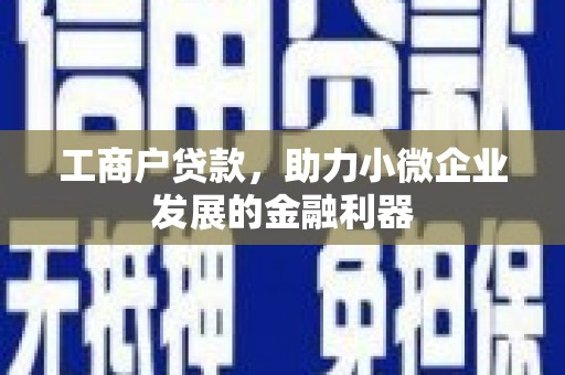 迪庆工商户贷款，助力小微企业发展的金融利器