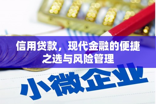 迪庆信用贷款，现代金融的便捷之选与风险管理