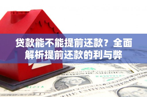 迪庆贷款能不能提前还款？全面解析提前还款的利与弊