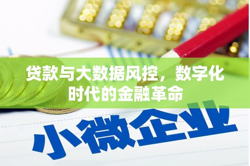 迪庆贷款与大数据风控，数字化时代的金融革命