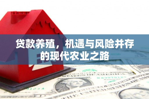 迪庆贷款养殖，机遇与风险并存的现代农业之路