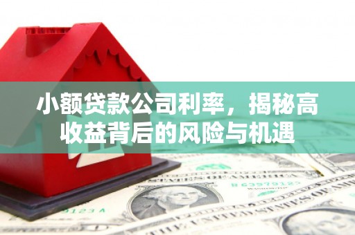 迪庆小额贷款公司利率，揭秘高收益背后的风险与机遇