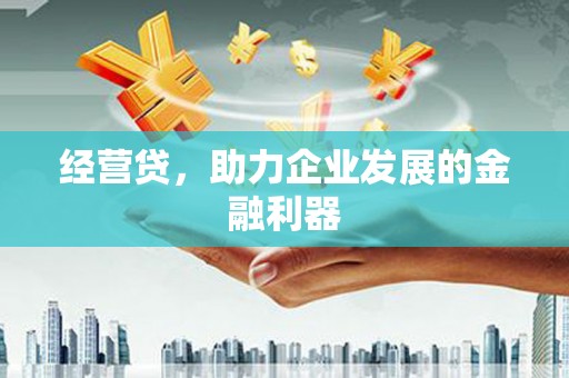 迪庆经营贷，助力企业发展的金融利器