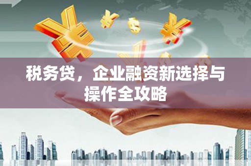 迪庆税务贷，企业融资新选择与操作全攻略