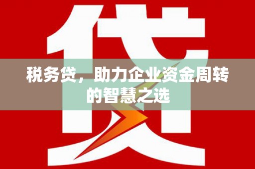 迪庆税务贷，助力企业资金周转的智慧之选