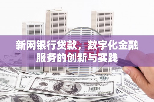 迪庆新网银行贷款，数字化金融服务的创新与实践