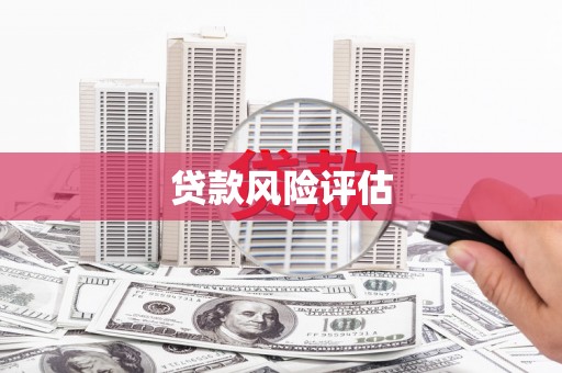 迪庆贷款风险评估