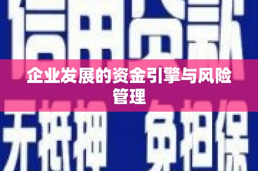迪庆企业发展的资金引擎与风险管理