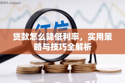 迪庆贷款怎么降低利率，实用策略与技巧全解析