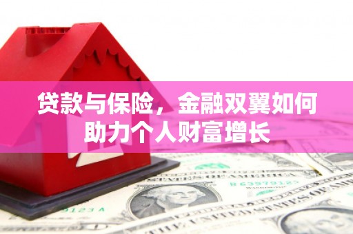 迪庆贷款与保险，金融双翼如何助力个人财富增长