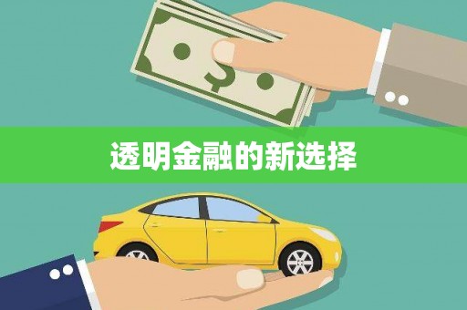 迪庆透明金融的新选择