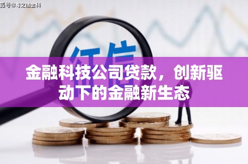 迪庆金融科技公司贷款，创新驱动下的金融新生态