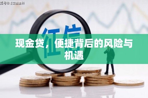 迪庆现金贷，便捷背后的风险与机遇