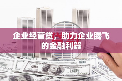 迪庆企业经营贷，助力企业腾飞的金融利器