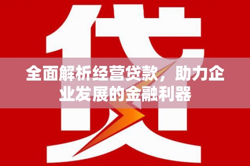 迪庆全面解析经营贷款，助力企业发展的金融利器