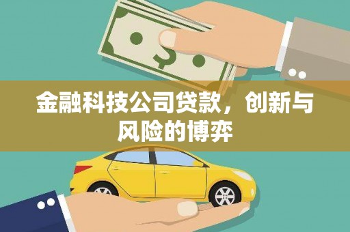 迪庆金融科技公司贷款，创新与风险的博弈