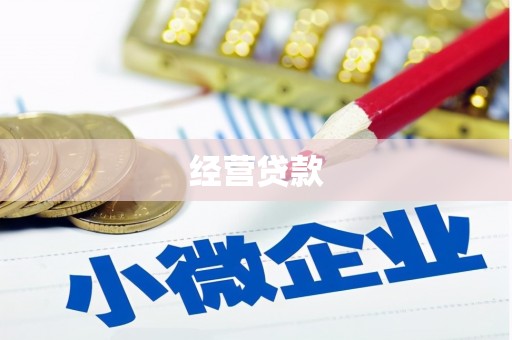 迪庆经营贷款