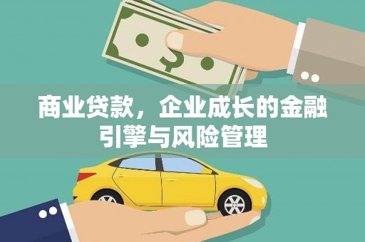 迪庆商业贷款，企业成长的金融引擎与风险管理
