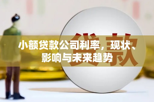 迪庆小额贷款公司利率，现状、影响与未来趋势