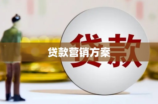 迪庆贷款营销方案
