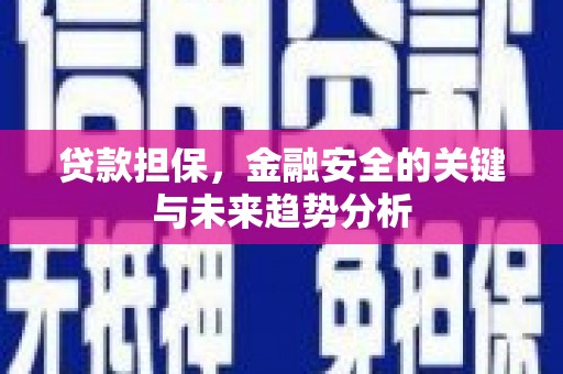 迪庆贷款担保，金融安全的关键与未来趋势分析