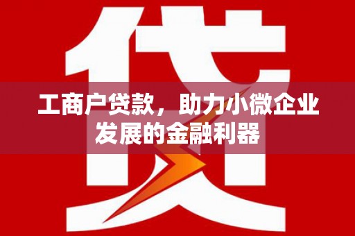 迪庆工商户贷款，助力小微企业发展的金融利器