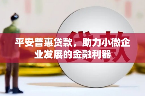 迪庆平安普惠贷款，助力小微企业发展的金融利器