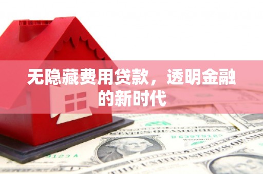 迪庆无隐藏费用贷款，透明金融的新时代