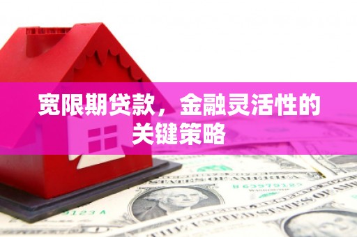 迪庆宽限期贷款，金融灵活性的关键策略