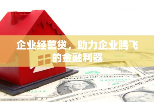 迪庆企业经营贷，助力企业腾飞的金融利器