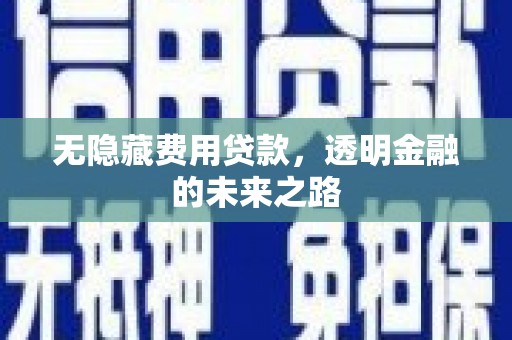 迪庆无隐藏费用贷款，透明金融的未来之路