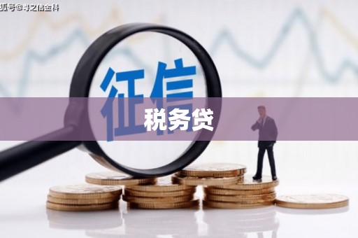 迪庆税务贷