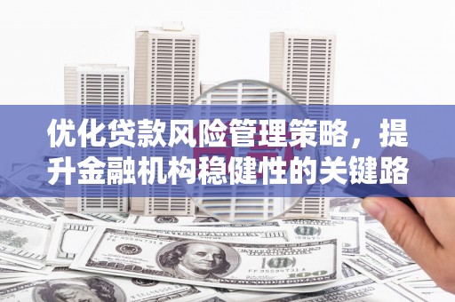 迪庆优化贷款风险管理策略，提升金融机构稳健性的关键路径