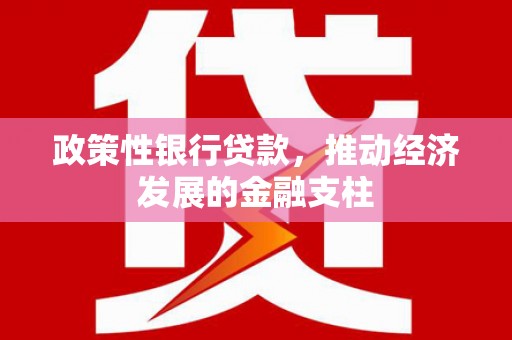 迪庆政策性银行贷款，推动经济发展的金融支柱