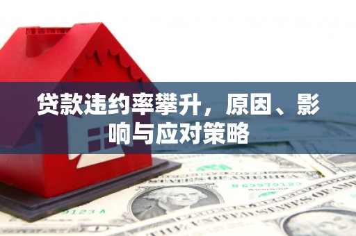 迪庆贷款违约率攀升，原因、影响与应对策略